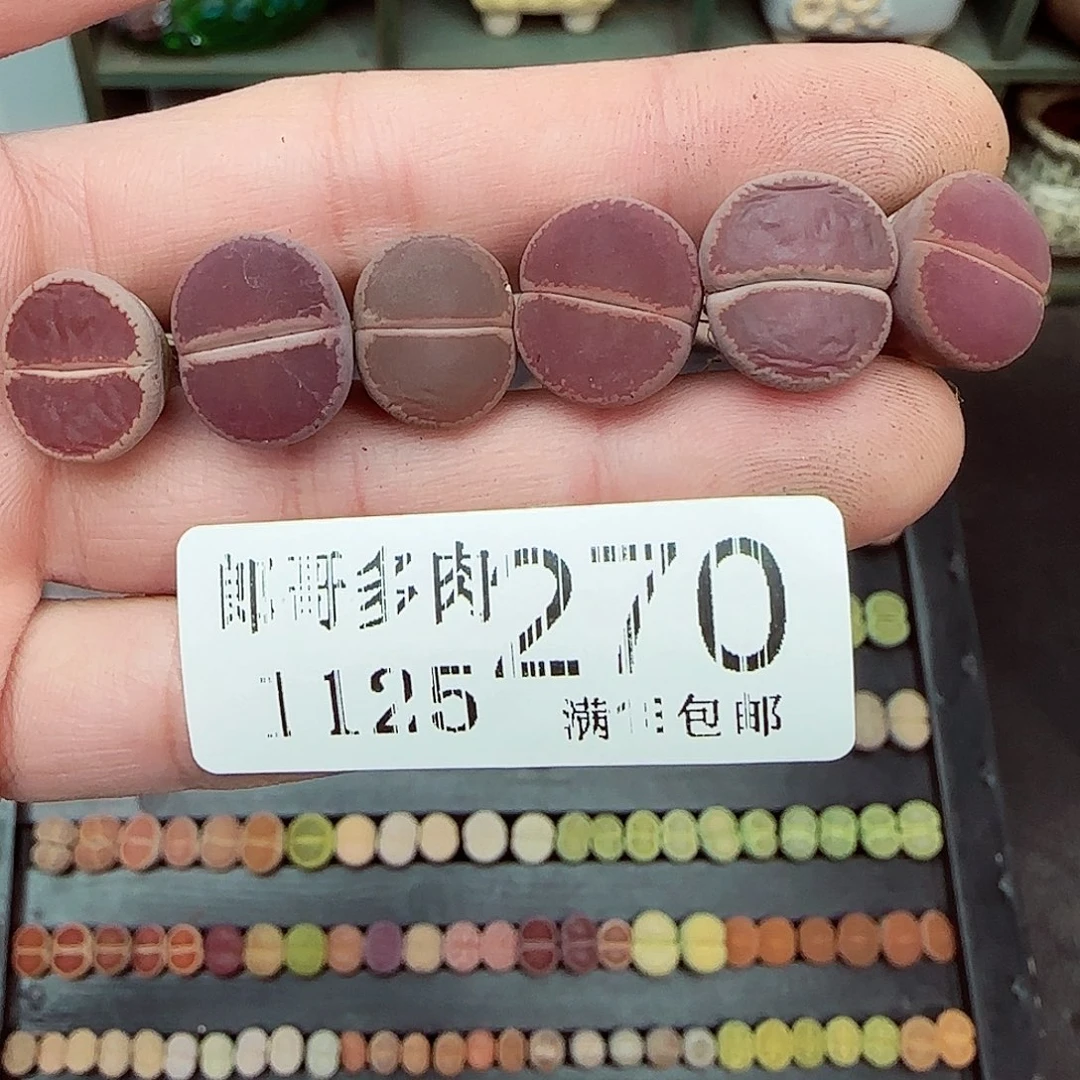 满满18包邮1125-270