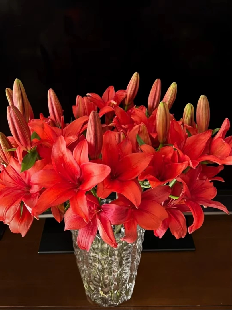 亚百合红宝石40头10%损耗