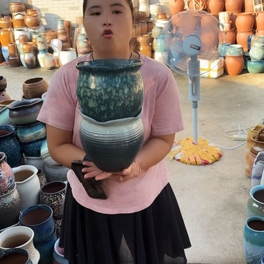 口19高19两个盆子。