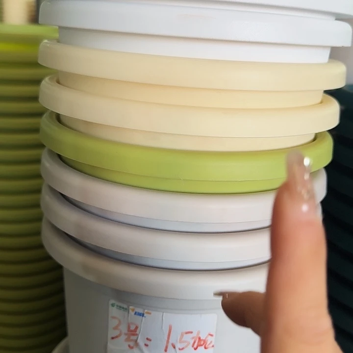 四季3号灰白无托10个特价