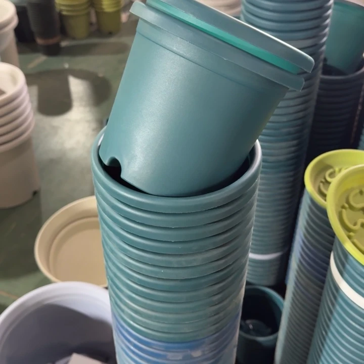 瑕疵2号13个无托随机