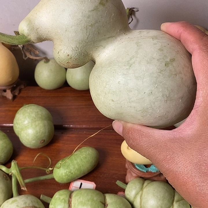 宁***远青皮腰子葫芦手把件葫芦
