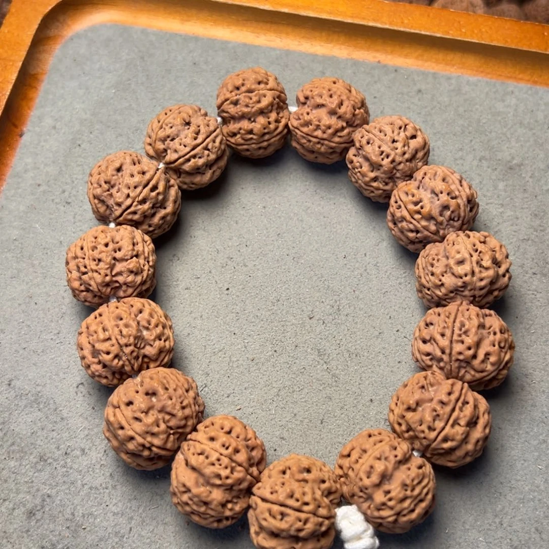 菩提18号金刚菩提满肉梅花23