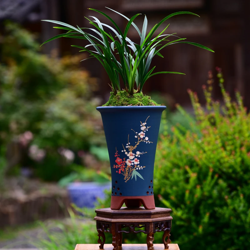 建兰铭品【小国魂】高端紫砂盆栽好种好 易养活盆栽顺丰包邮