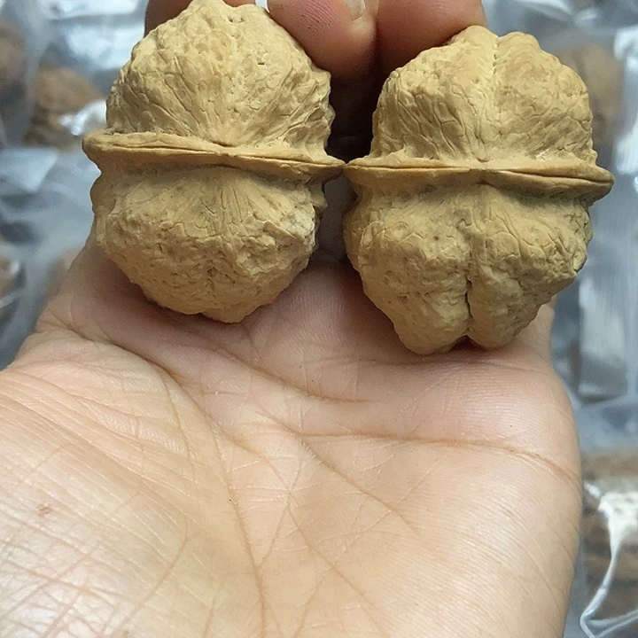 把件文玩核桃云南铁核桃基地61