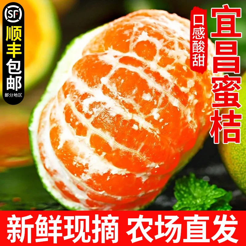 【顺丰包邮】宜昌蜜桔青皮无籽新鲜当季时令水果柑橘子酸甜多汁