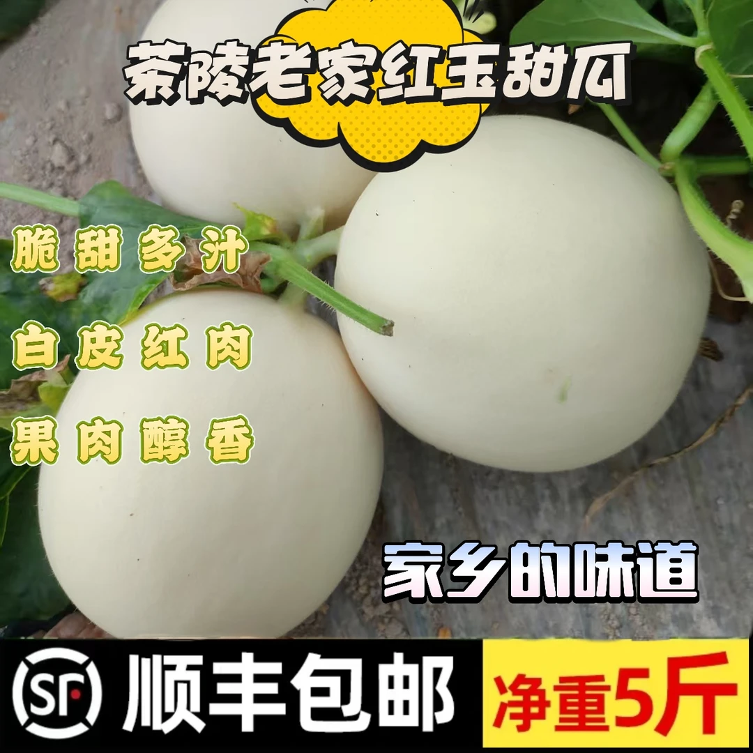 【顺丰 包邮】湖南茶陵农家甜玉甜瓜小白瓜甜红玉新鲜食用坏瓜包赔