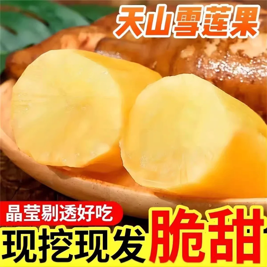 【坏果包赔】头茬云南特产天山雪莲果新鲜现挖清甜多汁xj