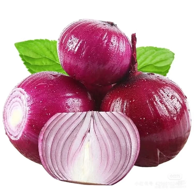 无品牌云南紫皮生吃洋葱今年新洋葱现货现发微甜高山
