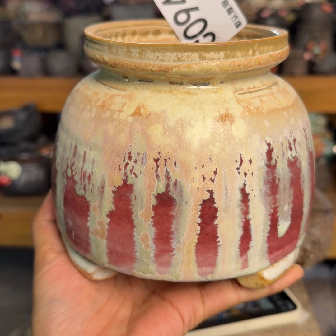 重庆小燕子欢迎大家094