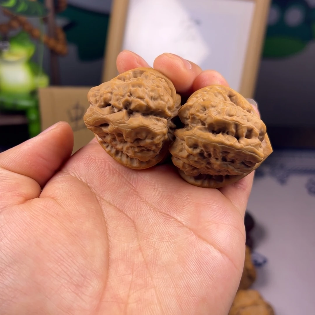 桑***延木蛙王41✖️46蛤蟆