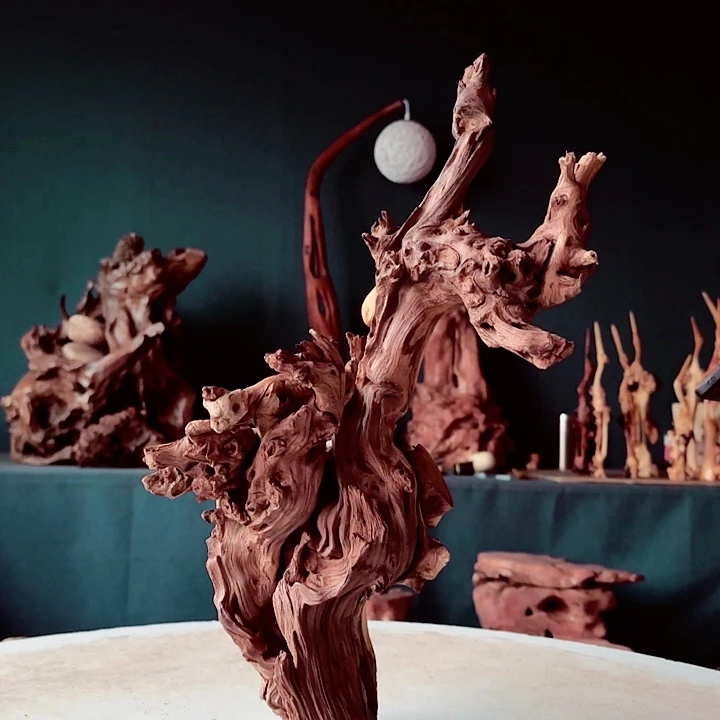 黑果木勇**前250金丝红木羊蹄甲半成品