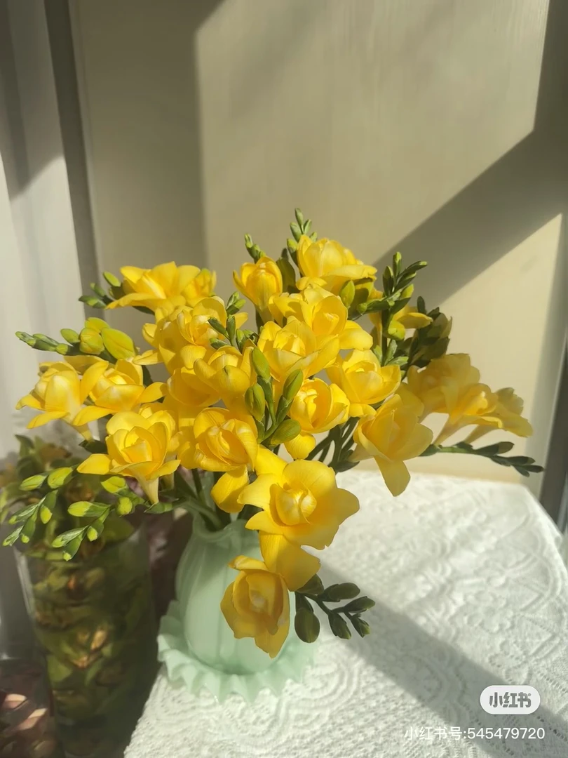 【花甜悦夏优选】柠檬黄香雪兰鲜花（百分之十不售后3个订单起包邮