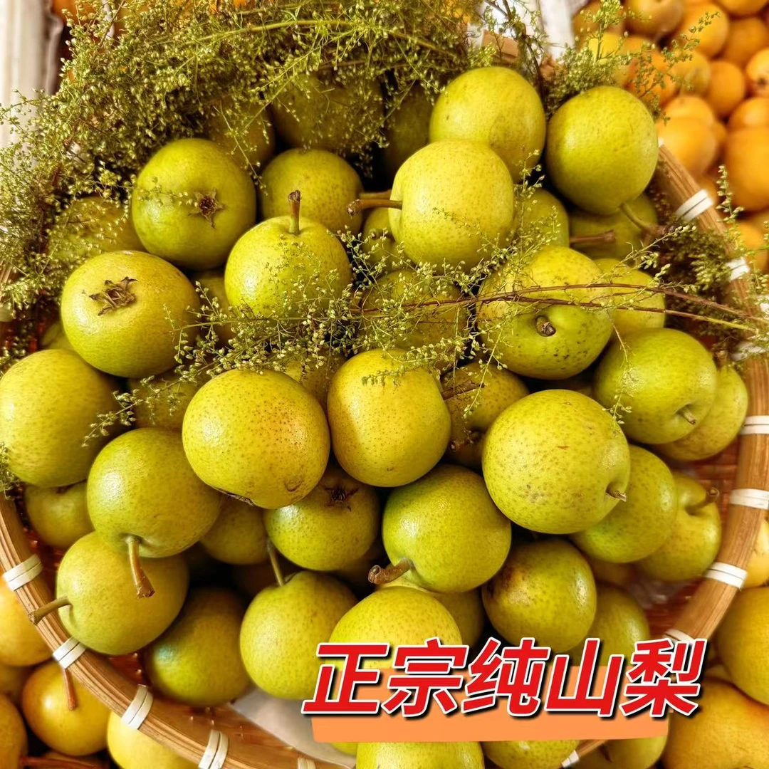 东北正宗山梨老式山梨酸口梨山梨蛋子1斤3斤5斤包邮顺丰