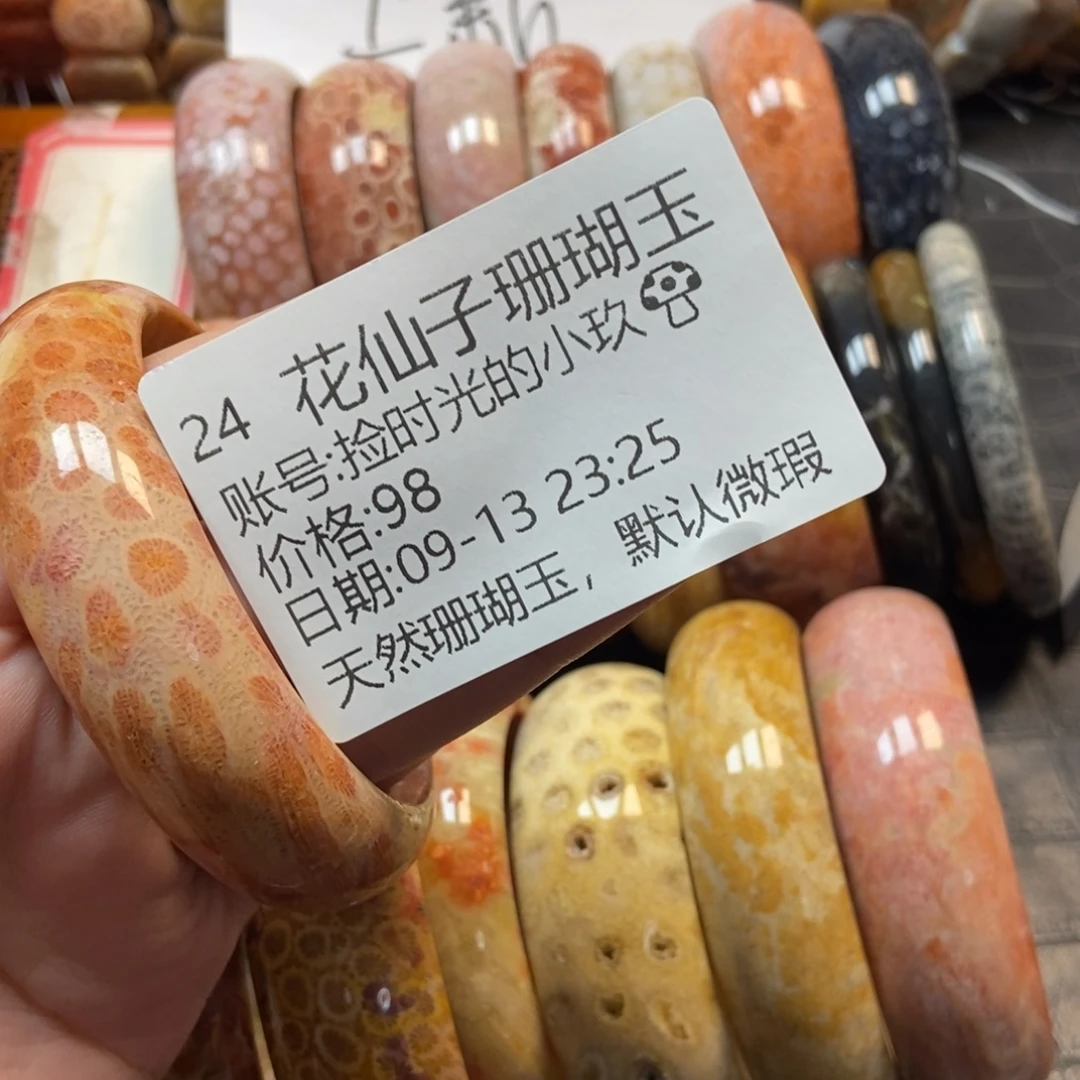 捡****未镶嵌硅化珊瑚（珊瑚玉）珠宝半成品24