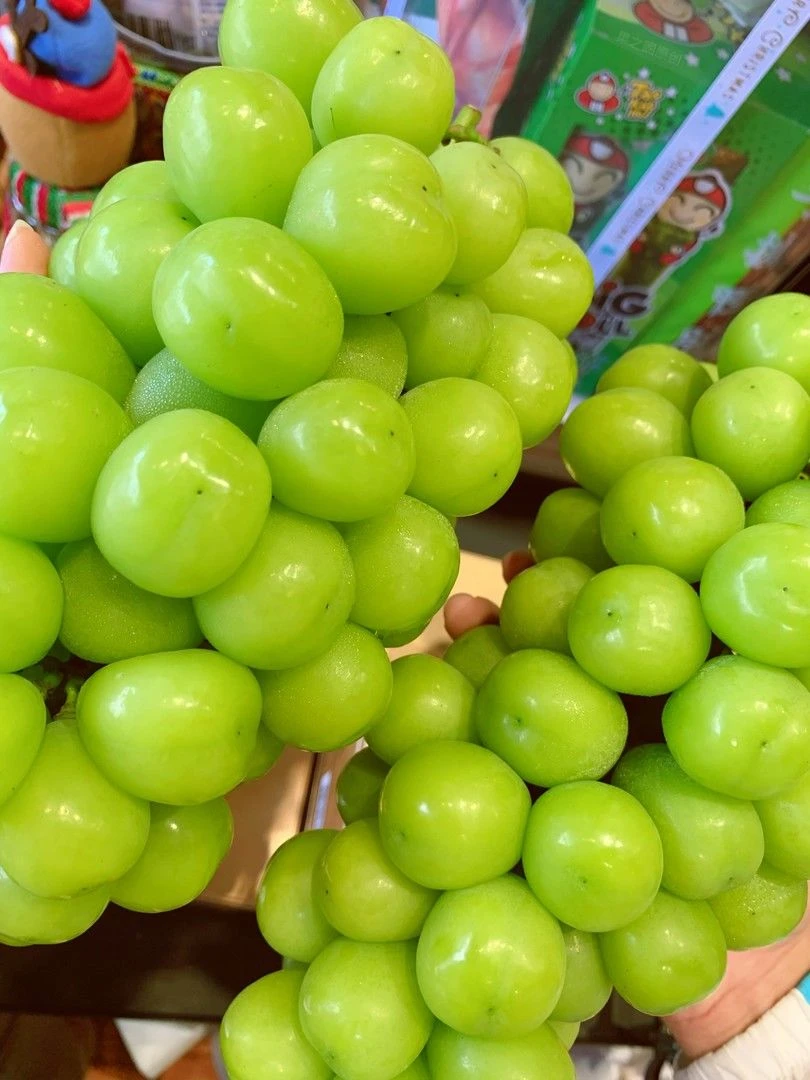 阳光玫瑰18元3斤左右