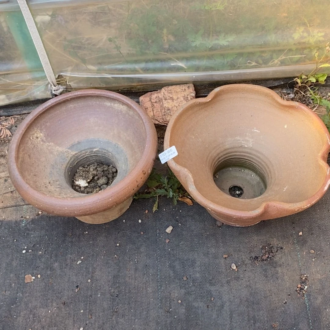 红陶往**烟85号多肉盆两个