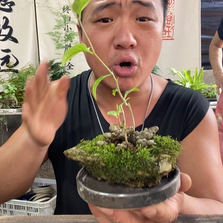 无花朵退款拉黑拉黑91