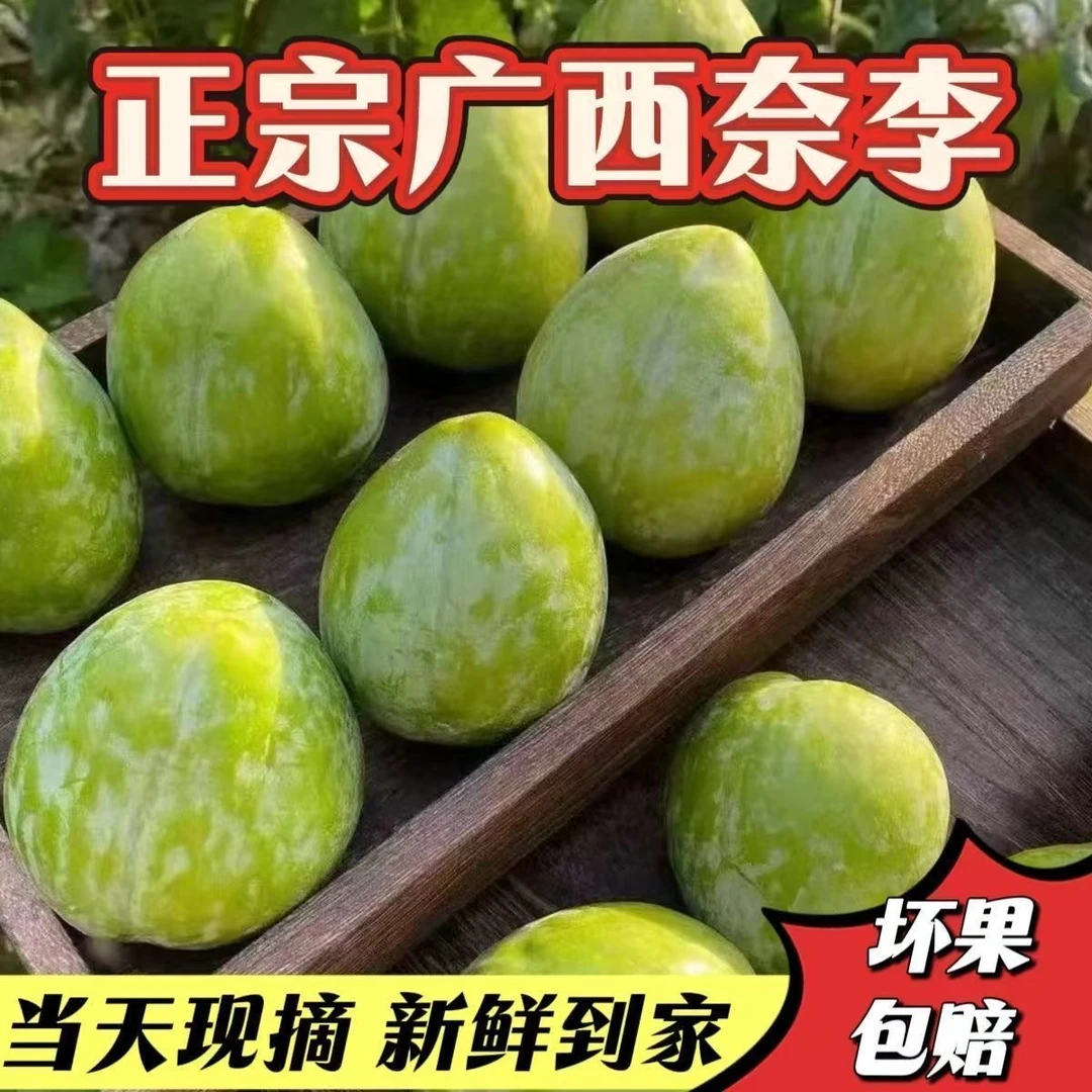 正宗新鲜桂林高山奈李脱骨李脆李子当季水果新鲜采摘奈青脆李