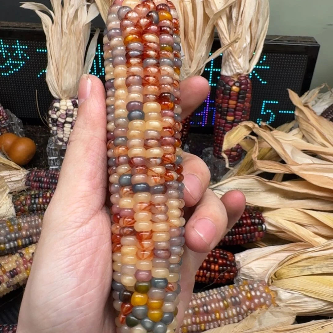 柏香籽/百香籽吊坠柚***檬