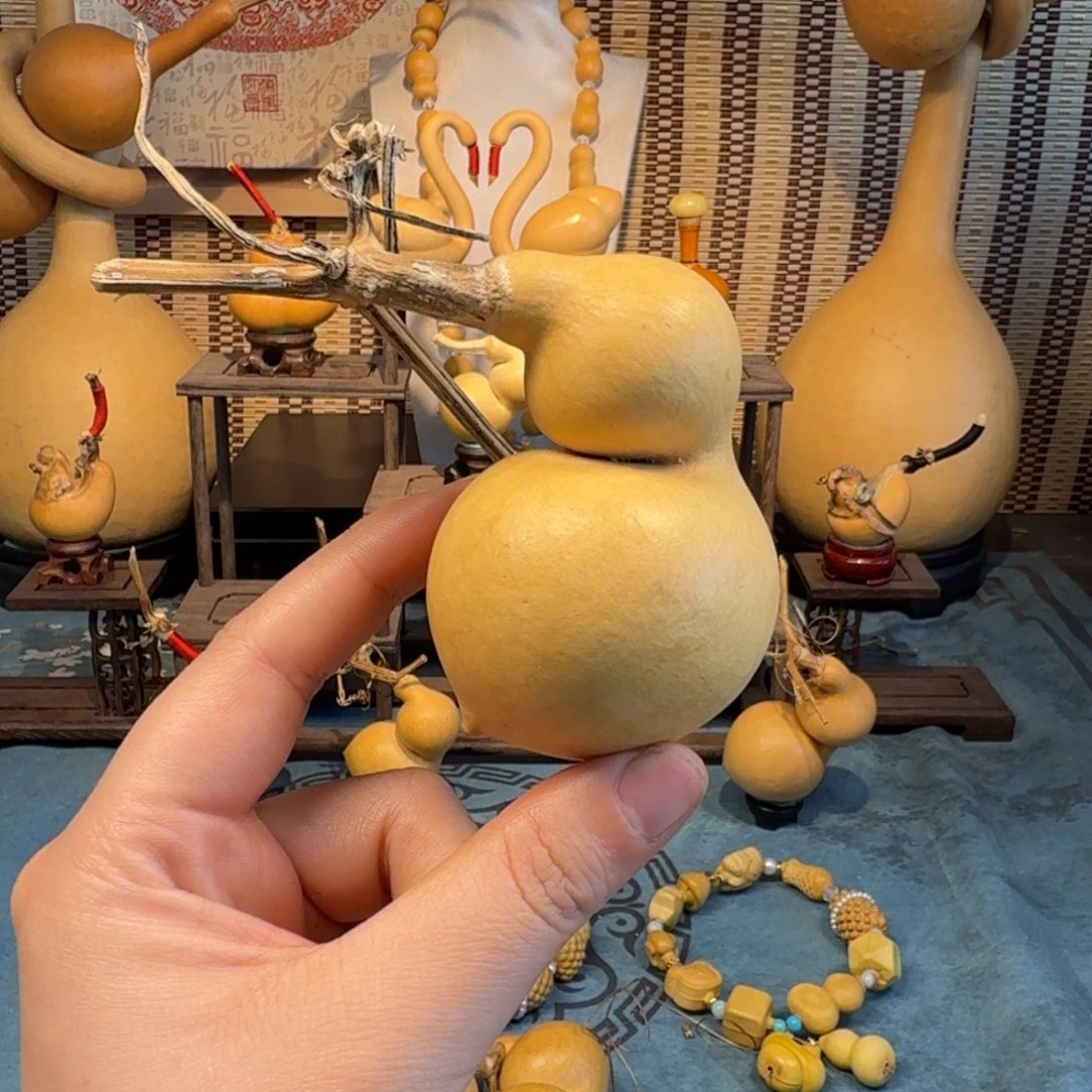 旺***发手把蚂蚁弓背贴肚