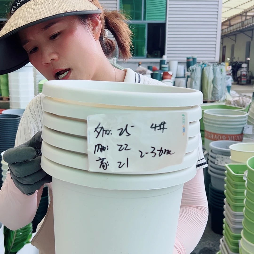 四季盆4#白色8个无托
