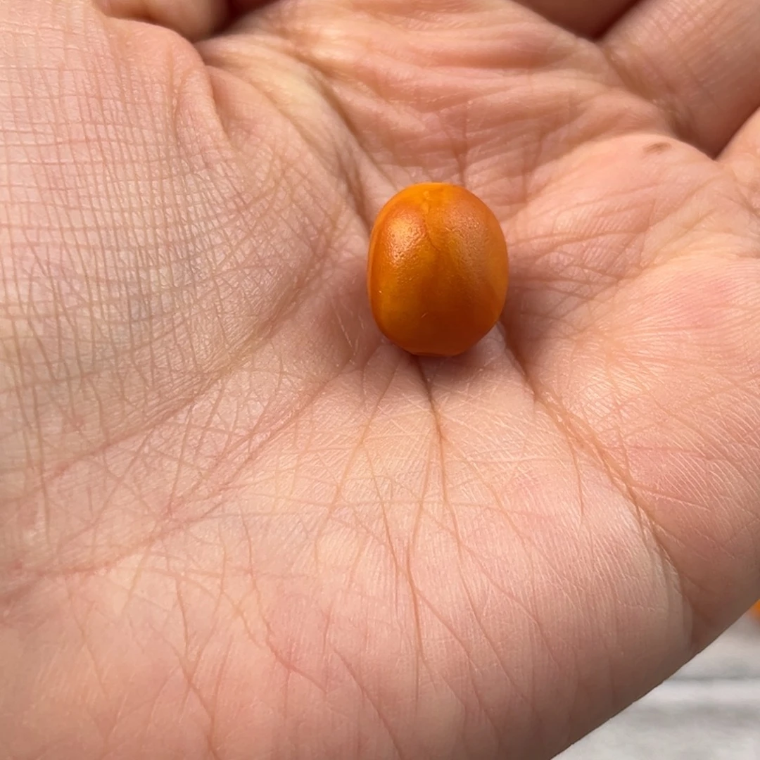 人***渡蜜蜡未镶嵌颈饰老蜜蜡