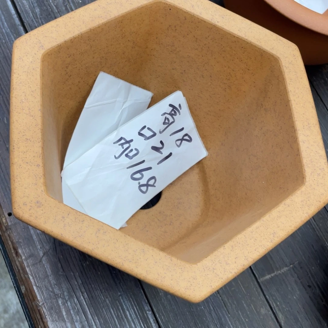 紫砂花盆城*蘭花盆花盆