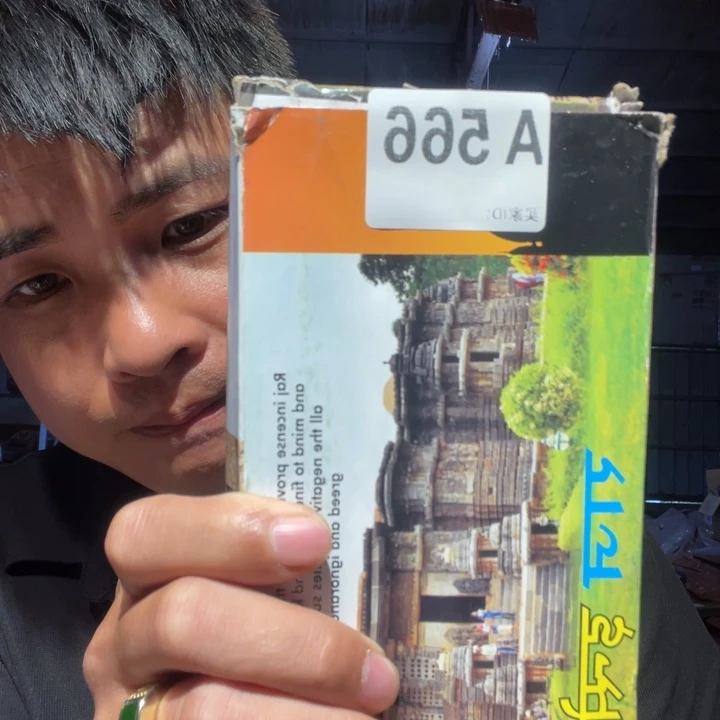 大叶紫檀（黑酸枝木类）566