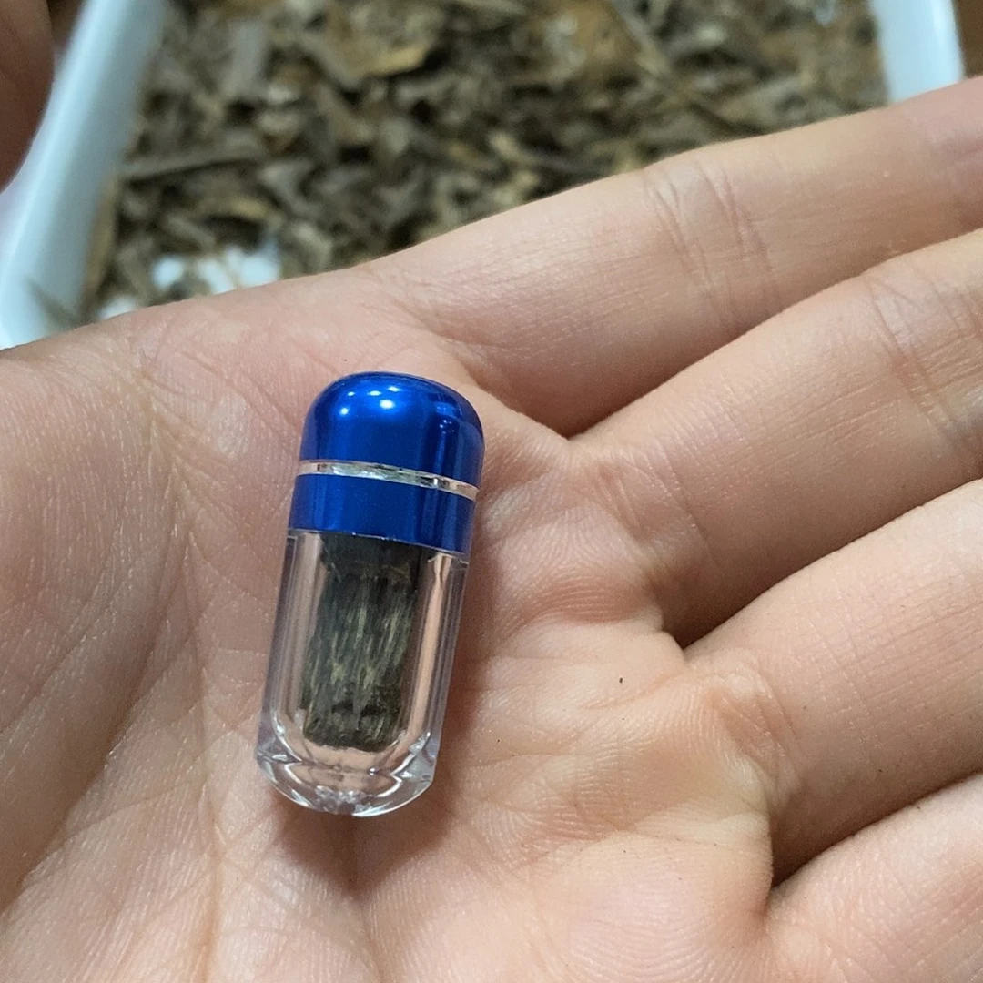 西马菩萨味标本（福利52901