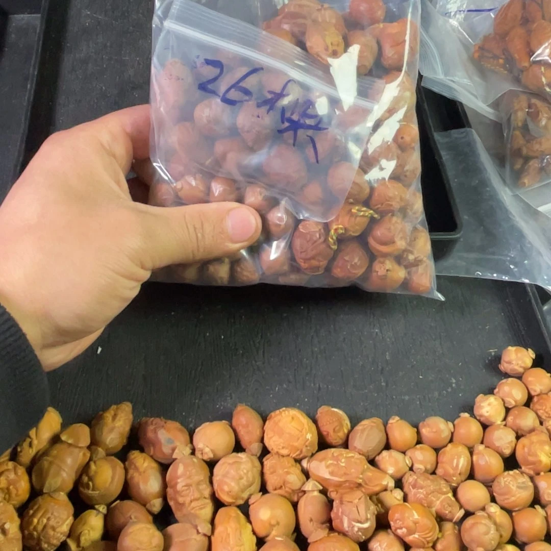 吊坠橄榄核虫*飞