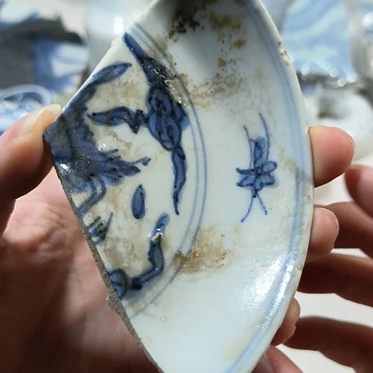 瓷片瓷片瓷片瓷片瓷片