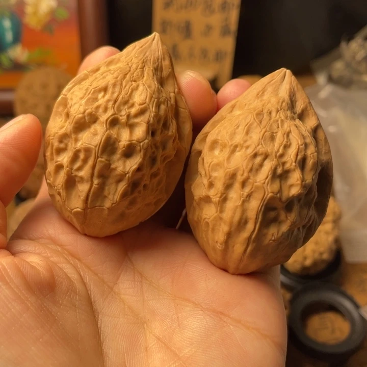 豆***精云南野生铁核桃编号35