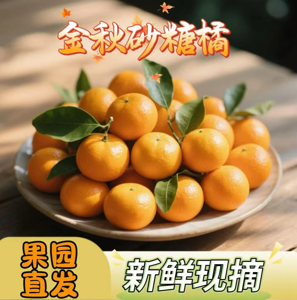 云南宾川高原金秋砂糖橘（现摘现发顺丰包邮）