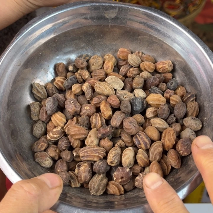 千眼菩提吊坠龙脊菩提半斤