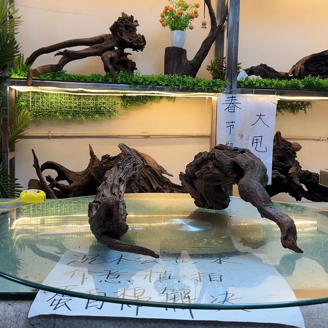 柚木你****憨沉木鱼缸造景