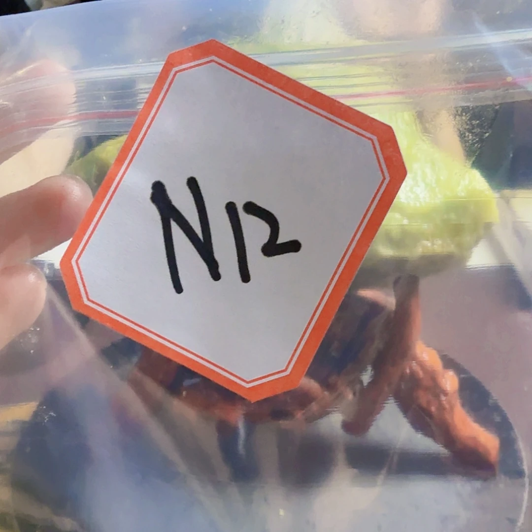 阳***）蛇纹石玉未镶嵌珠宝奇石