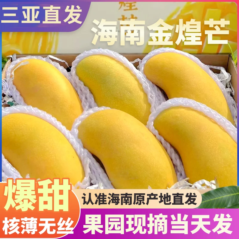 海南金煌芒果水仙芒大果应当季新鲜热带水果黄皮青芒整箱三亚直发