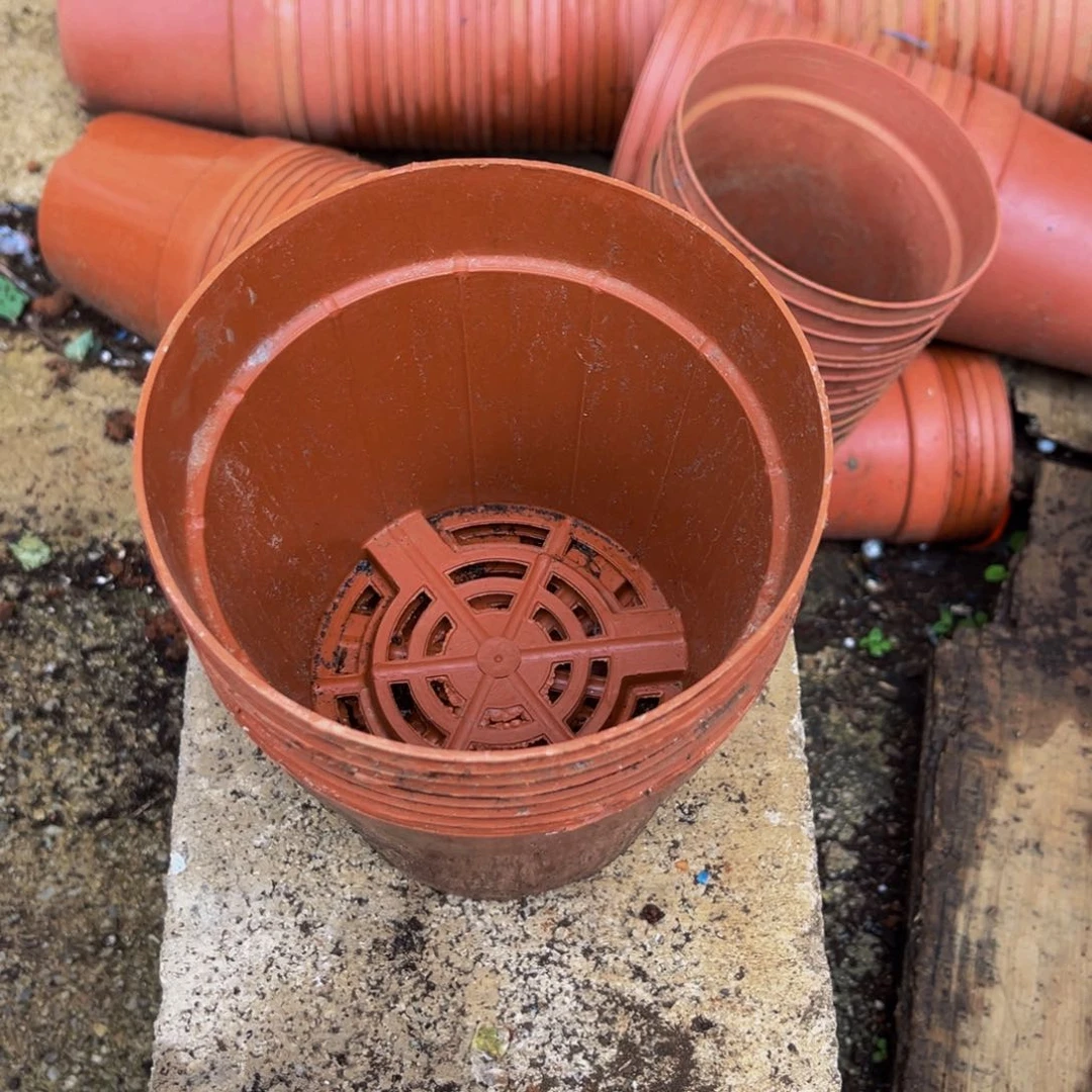 旧口径14红圆盆30个