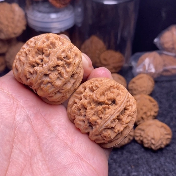 文玩核桃吊坠40大粗筋