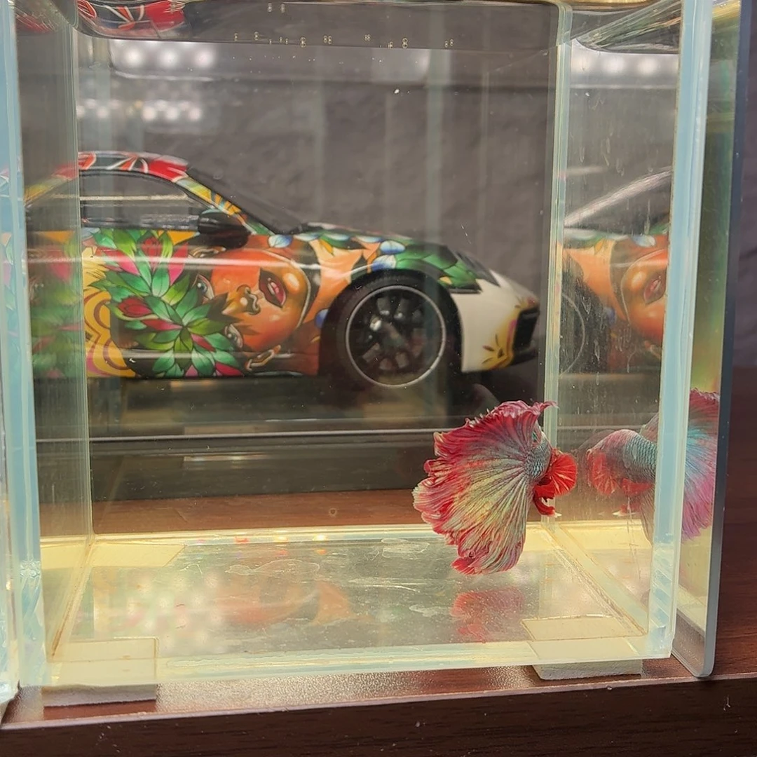 斗鱼彩金电摇半月