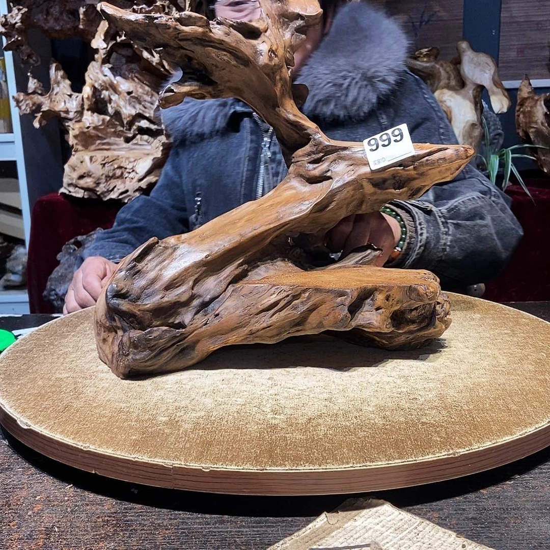 进***业999。株木随行根艺