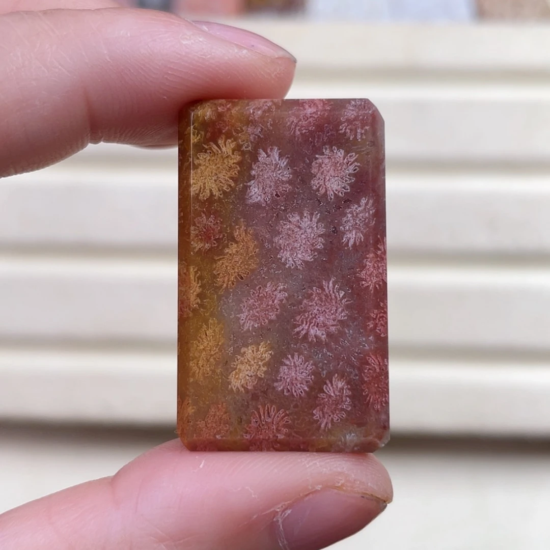 【闪购商品】硅化玉吊坠(赠链)未镶嵌