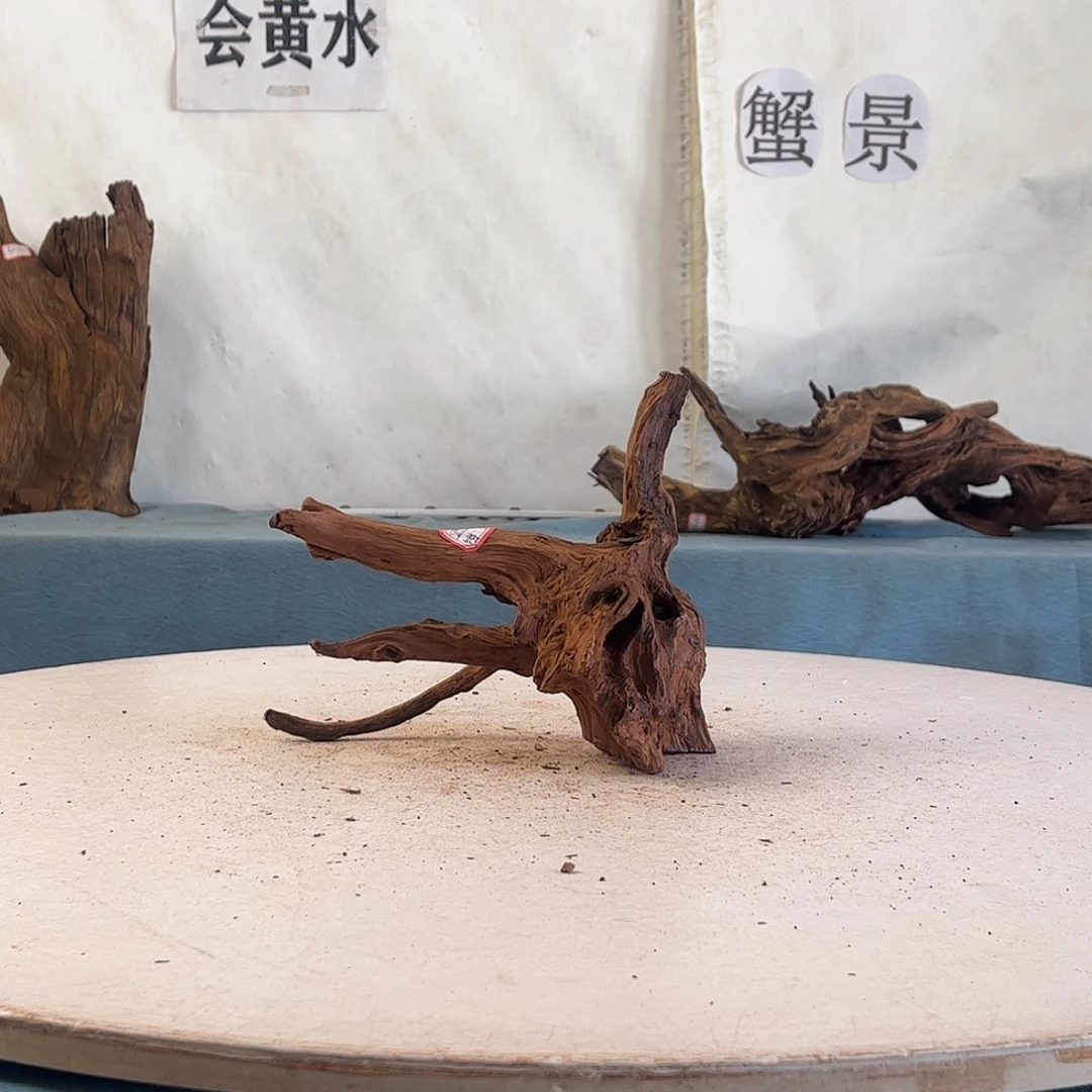 用****4周末福利沉木造景