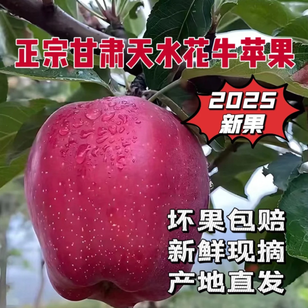 甘肃天水花牛苹果新鲜采摘产地直发脆粉两吃