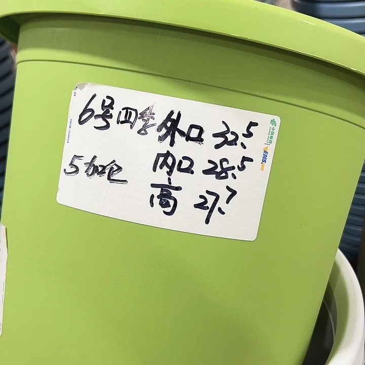 特价6号四季盆口32高28白色无托5只
