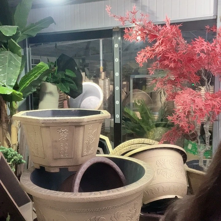 复合盆景制作方法