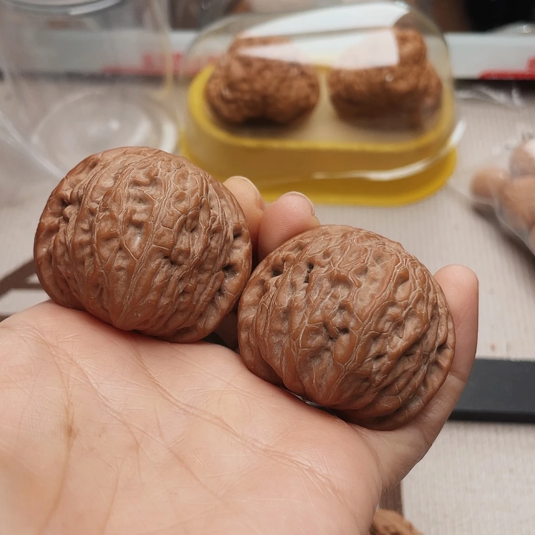 無*木43铁锤子们冲了我好