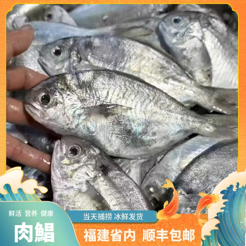 【肉鲳】直播间海鲜螃蟹鱼虾顺丰发货新鲜到家