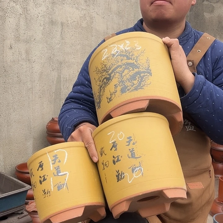 紫砂紫砂花盆盆栽